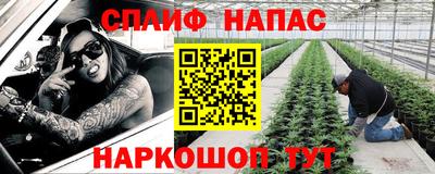 гидропоника Пенза